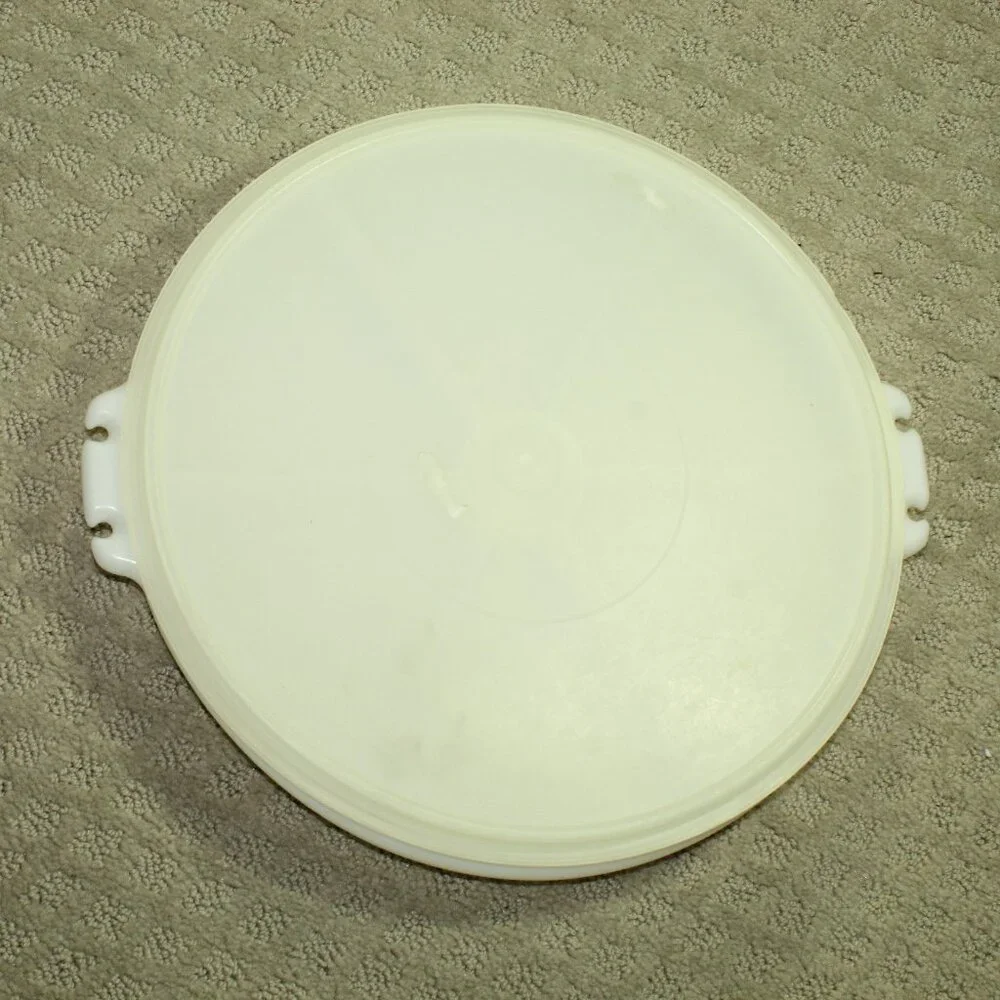 Tupperware vintage divided